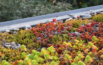 the cost of Bradfield Heath green roof installation