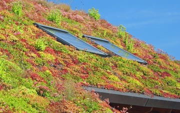 Bradfield Heath living roof systems