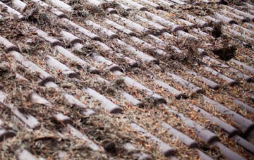 Bradfield Heath roof cleaning companies