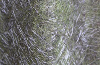 Bradfield Heath fibreglass roof work